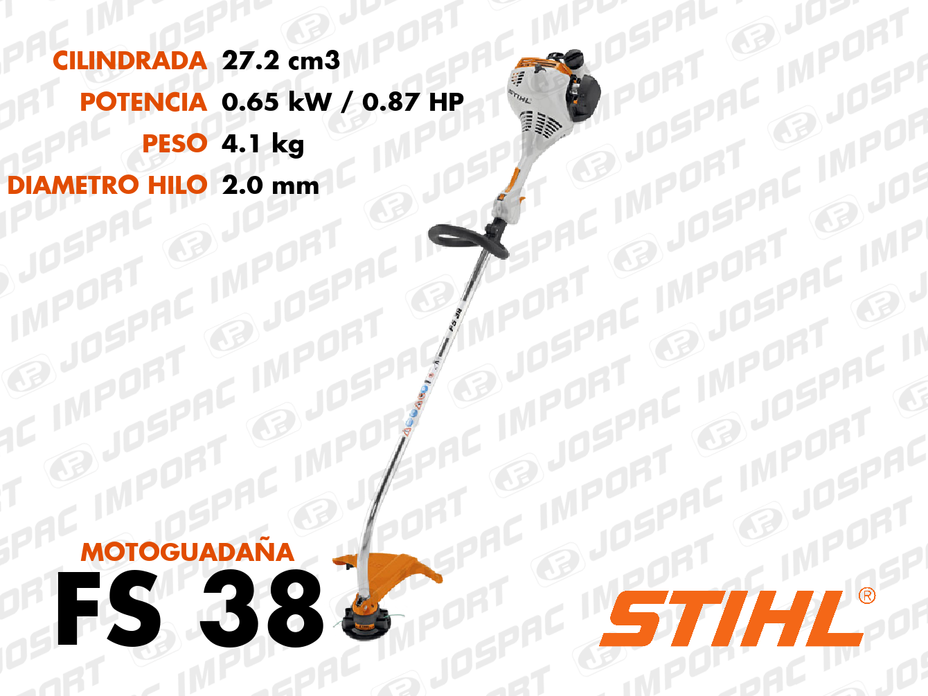 Foto de FS 38
